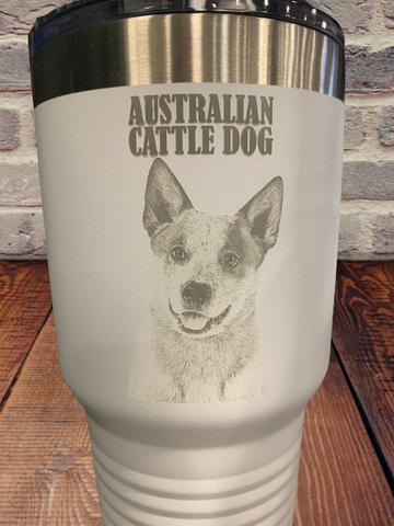 Australian Cattle dog tumbler