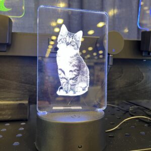 Cat Acrylic Light